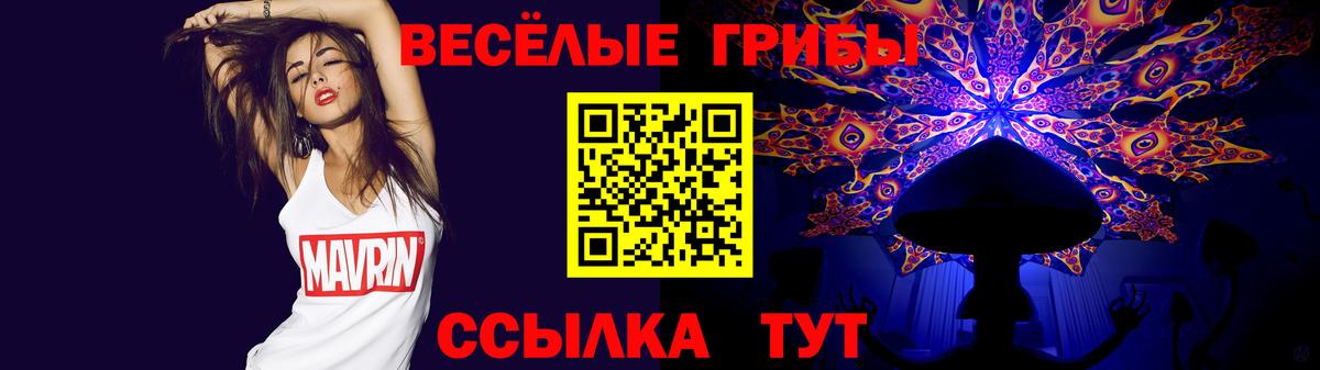 Псилоцибиновые грибы GOLDEN TEACHER Еманжелинск